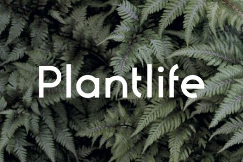Plantlife Garden Design Ltd Logo